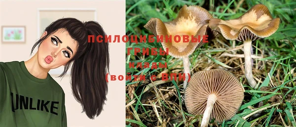 альфа пвп Армянск