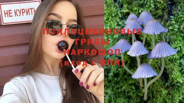 метадон Арсеньев