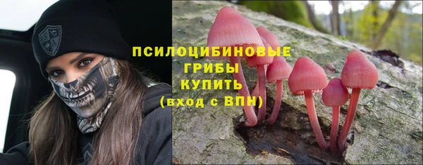 метадон Арсеньев