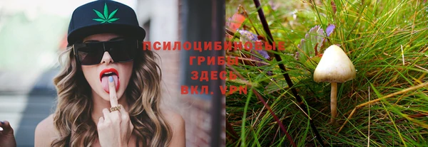 винт Семилуки