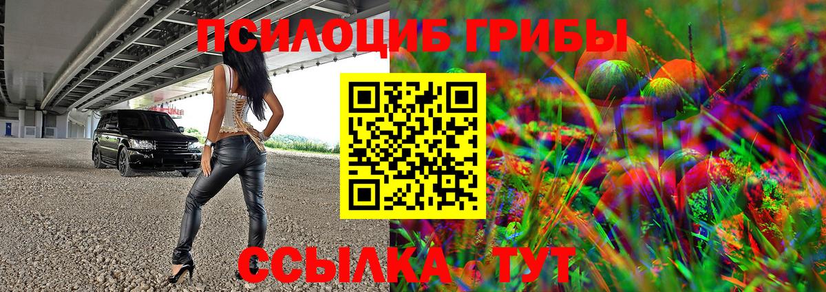Псилоцибиновые грибы GOLDEN TEACHER Белорецк