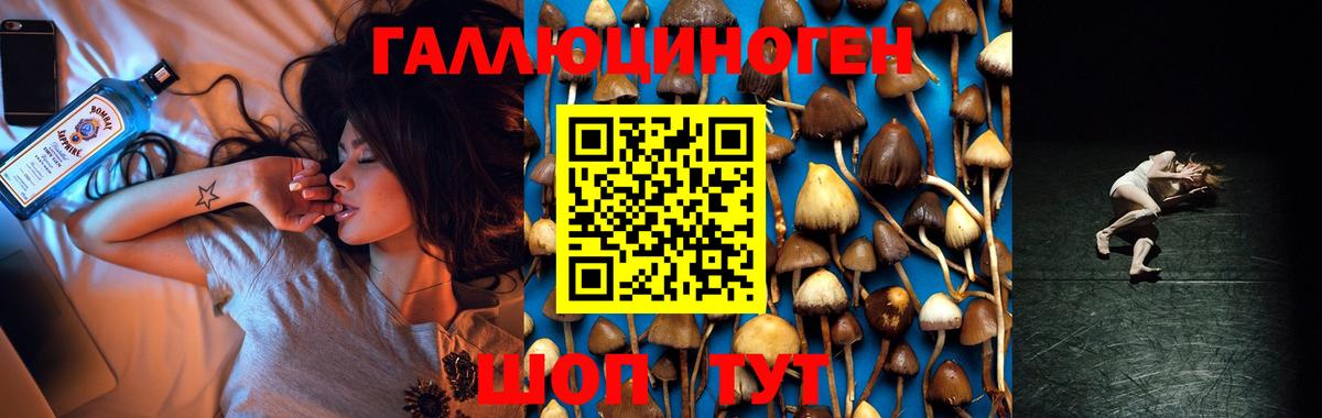 Галлюциногенные грибы Magic Shrooms  Псилоцибиновые грибы ЛСД  Белорецк  дарнет шоп  Вход с VPN 