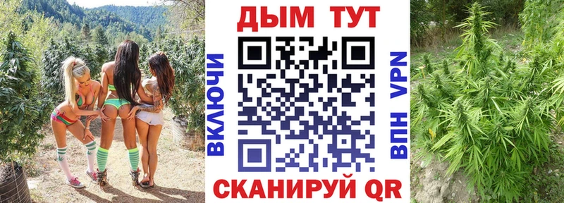 Шишки марихуана MAZAR Белорецк